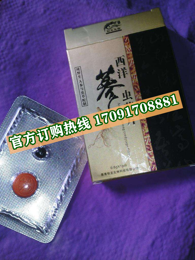 西洋参虫草片|正品价格多少+真实效果反馈_火爆上市(图2)