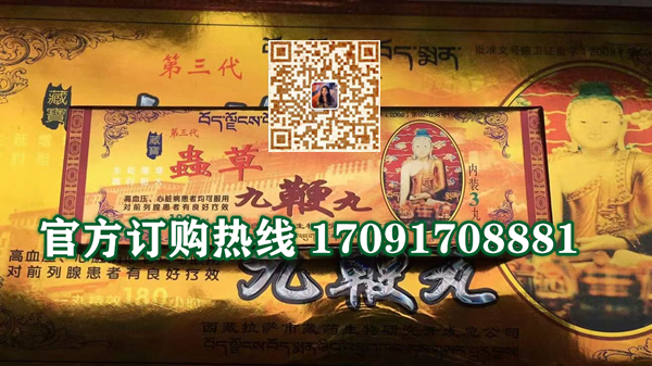 虫草九***丸价格多少(功效作用介绍)新品上市一览表(图2)