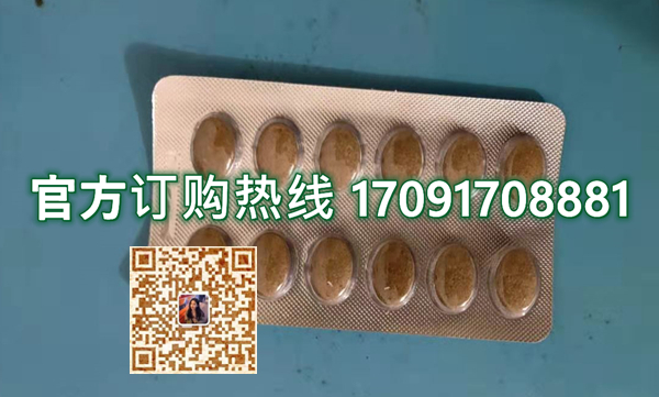 奥多宝黄精枸杞片价格多少(功效作用介绍)新品上市一览表(图2)