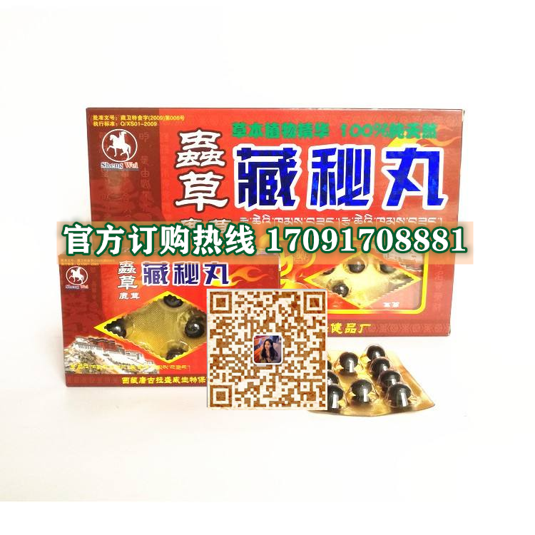 虫草鹿茸藏秘丸价格多少(功效作用介绍)新品上市一览表(图2)
