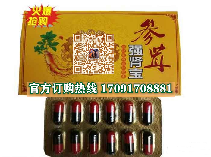 参茸强肾宝价格多少(功效作用介绍)新品上市一览表(图2)