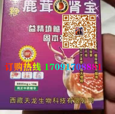 十***鹿茸肾宝价格多少(功效作用介绍)新品上市一览表(图2)