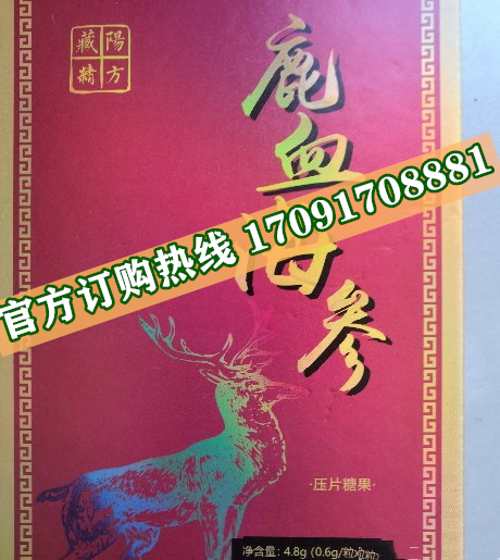 藏阳精方鹿血海参片多少钱一盒几粒装?客户用后反馈效果惊人(图2)