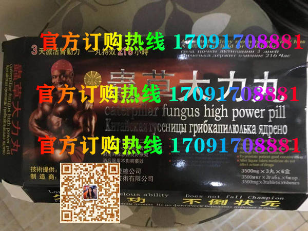虫草大力丸价格多少(功效作用介绍)新品上市一览表(图2)