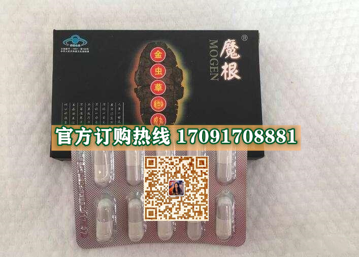 魔根金虫草价格多少(功效作用介绍)新品上市一览表(图2)