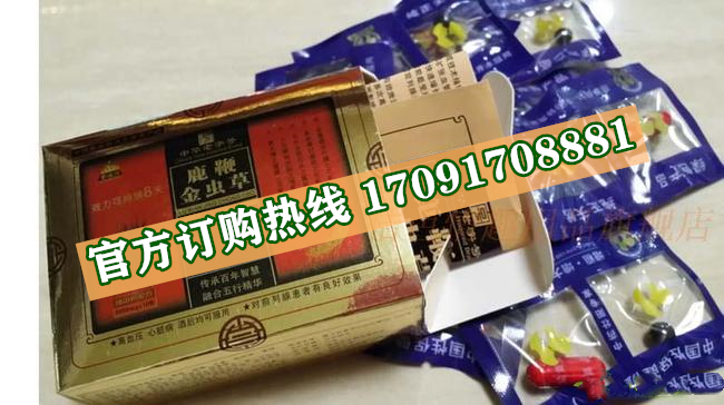 鹿***金虫草价格多少(功效作用介绍)新品上市一览表(图2)