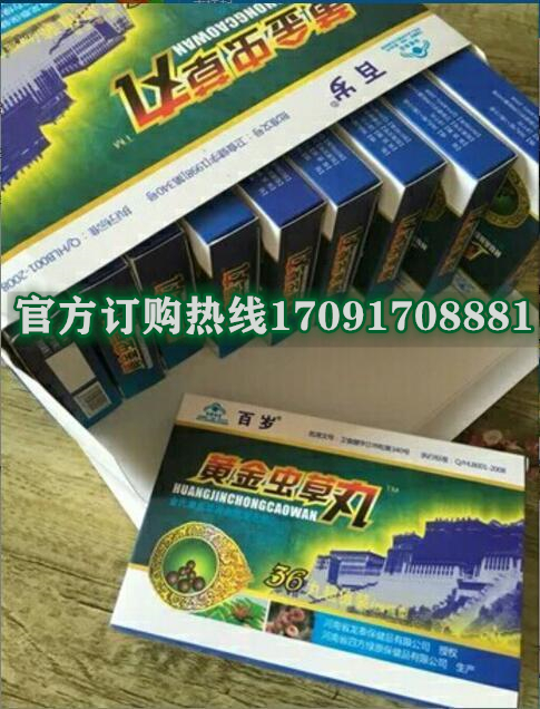 黄金虫草丸多少钱〔功效作用-用法用量〕火爆上市(图2)