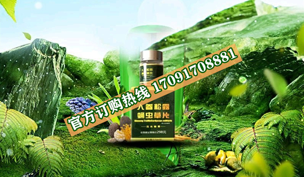信德人参松露蛹虫草片多少钱一盒几粒装?客户用后反馈效果惊人(图2)