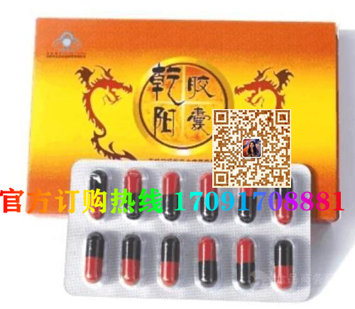 乾阳胶囊价格多少(功效作用介绍)新品上市一览表(图2)
