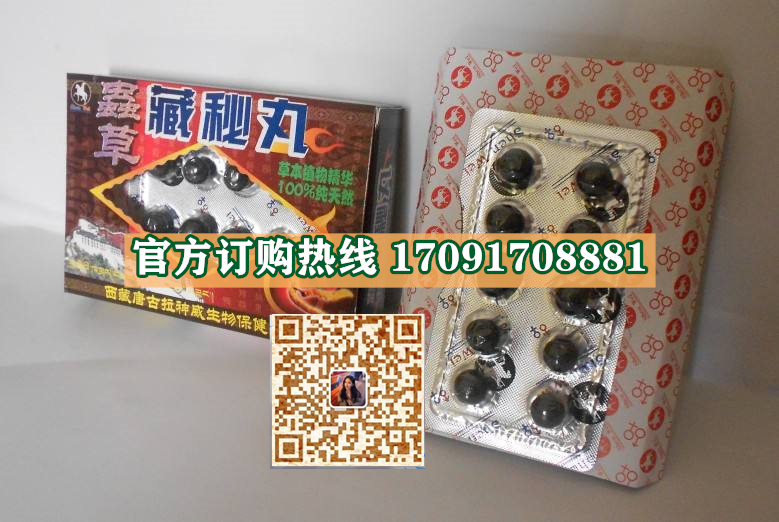 虫草藏秘丸功效作用成分一览表:售价具体多少(图2)