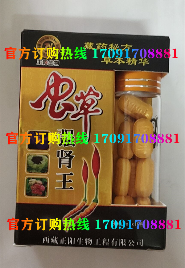 正阳虫草强肾王功效作用成分一览表:售价具体多少(图2)