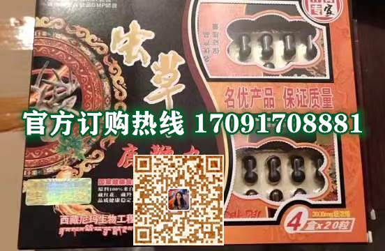 西藏金龙虫草鹿***丸功效作用成分一览表:售价具体多少(图2)