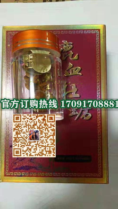 藏阳古方鹿血牡蛎/记者暗访!今日报价效果好不好-/火爆上市(图2)