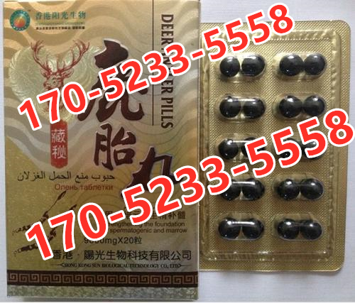 藏秘鹿胎丸多少钱〔作用功效_用法用量〕火爆上市(图1) 藏秘鹿胎丸多少钱〔作用功效_用法用量〕火爆上市(图1)