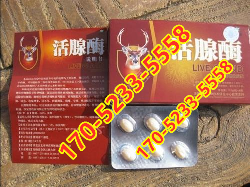 活腺酶鹿***软胶囊效果到底怎么样〔火爆上市〕价格多少钱(图1) 活腺酶鹿***软胶囊效果到底怎么样〔火爆上市〕价格多少钱(图1)