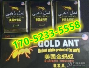 美国金蚂蚁效果到底怎么样〔火爆上市〕价格多少钱
