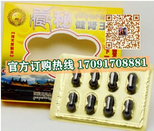 藏秘健肾王价格多少(功效作用介绍)新品上市一览表(图2)