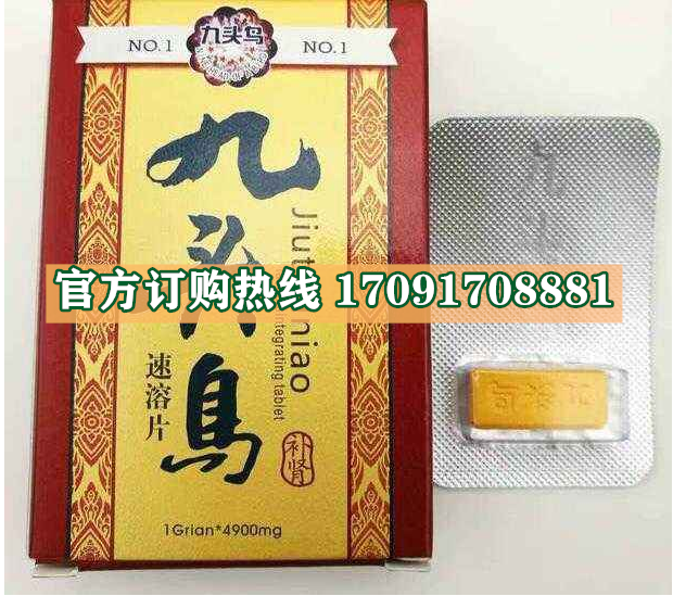 九头鸟速溶片多少钱〔功效作用-用法用量〕火爆上市(图2)