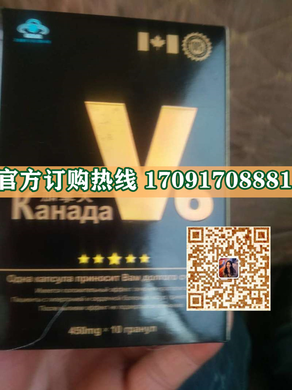加拿大v6多少钱(官网头条)效果说明书详细介绍(图2)