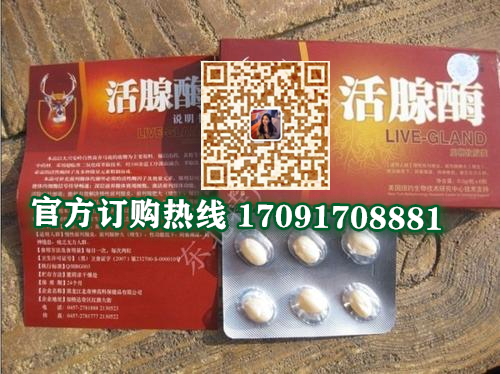 活腺酶鹿***软胶囊多少钱(试验已证明效果)头条新闻(图2)