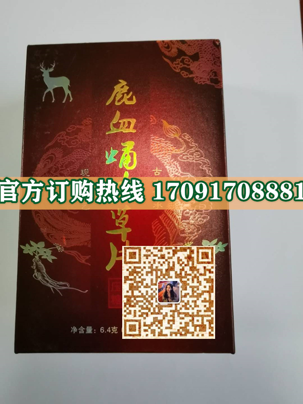 鹿血蛹虫草片多少钱(新闻报道)教你一招辨真伪(图2)